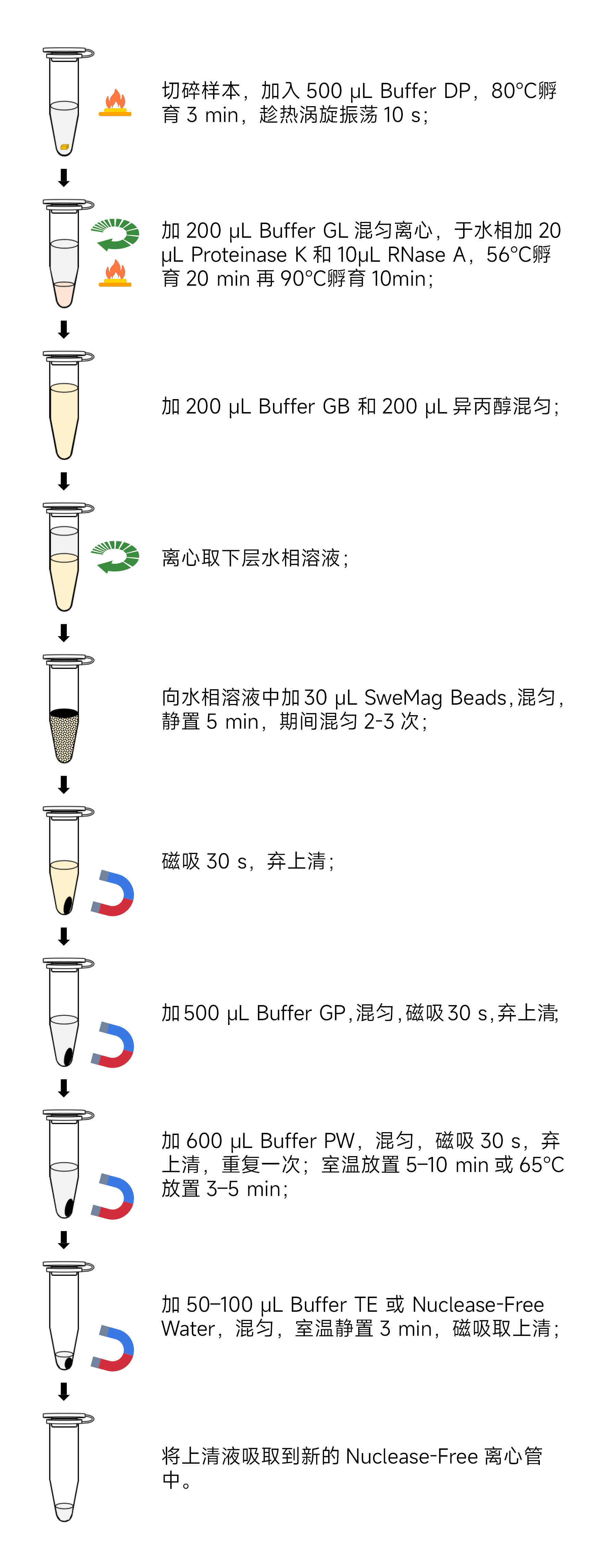 Y3616-50T磁珠法石蜡包埋组织基因组DNA提取试剂盒.jpg