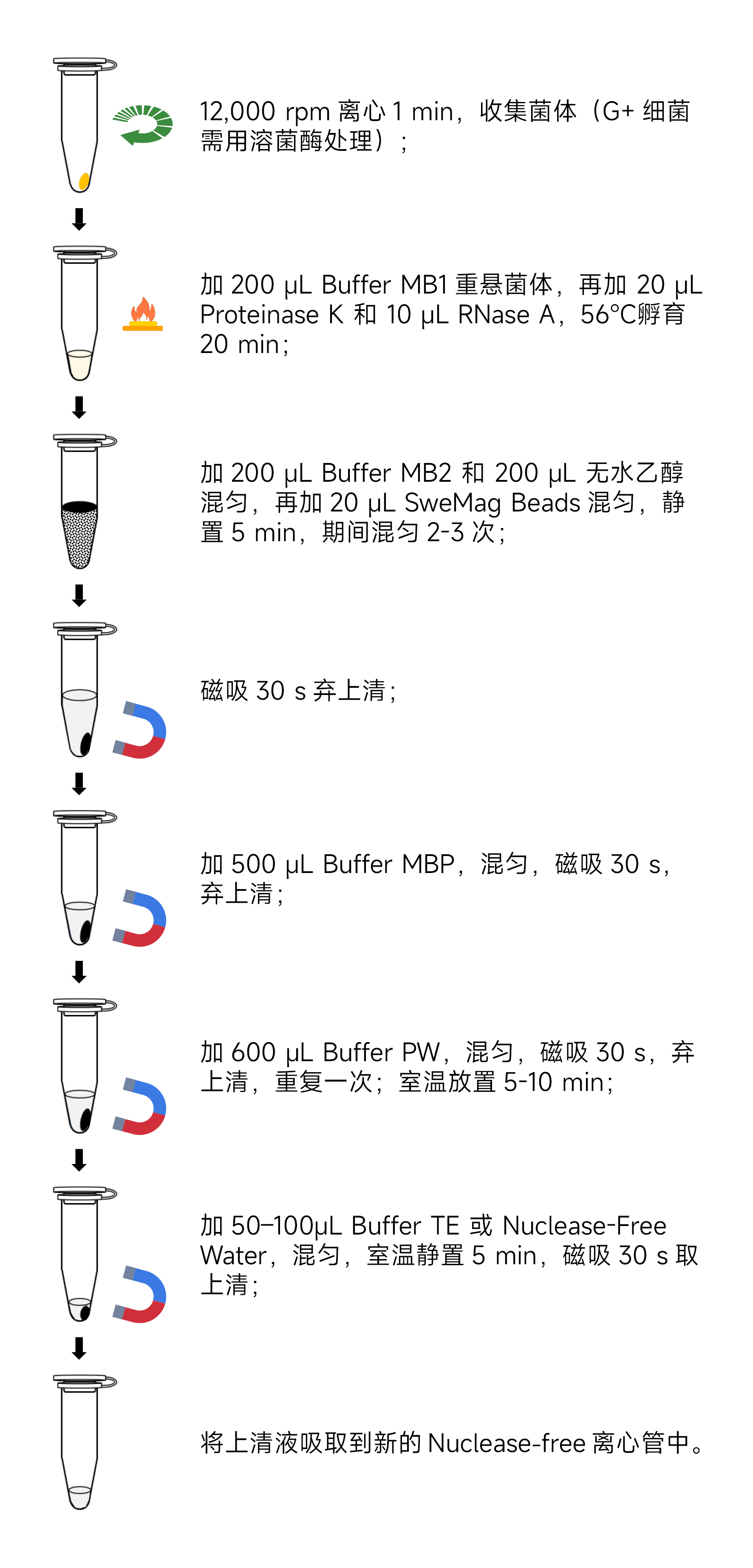 Y3614-50T磁珠法细菌基因组DNA提取试剂盒.jpg