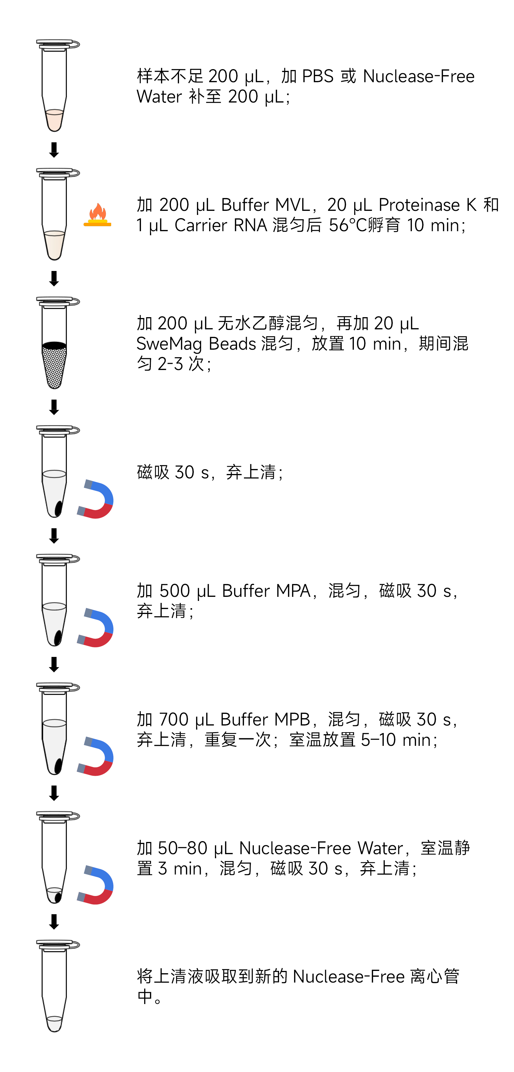 Y3619-50T磁珠法病毒DNA、RNA提取试剂盒.jpg