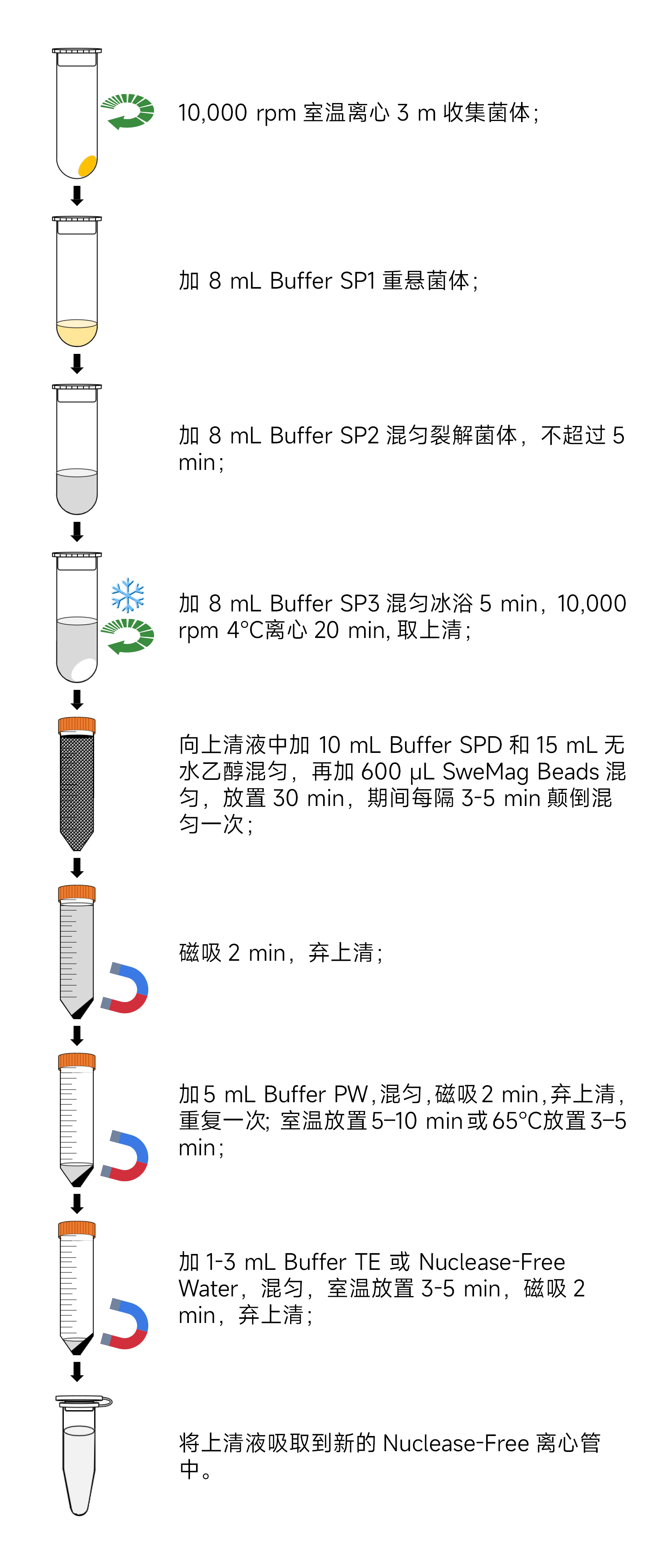 Y3621-10T磁珠法高纯度质粒DNA大量提取试剂盒.jpg