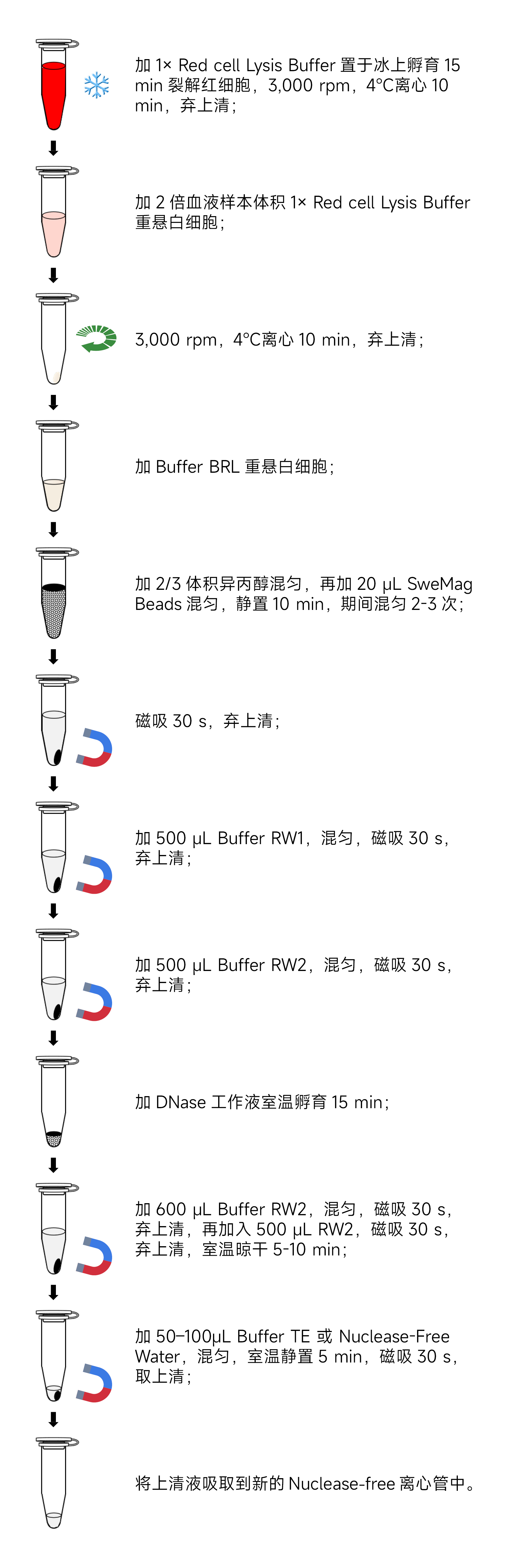 Y3622-50T磁珠法血液总RNA提取试剂盒.jpg