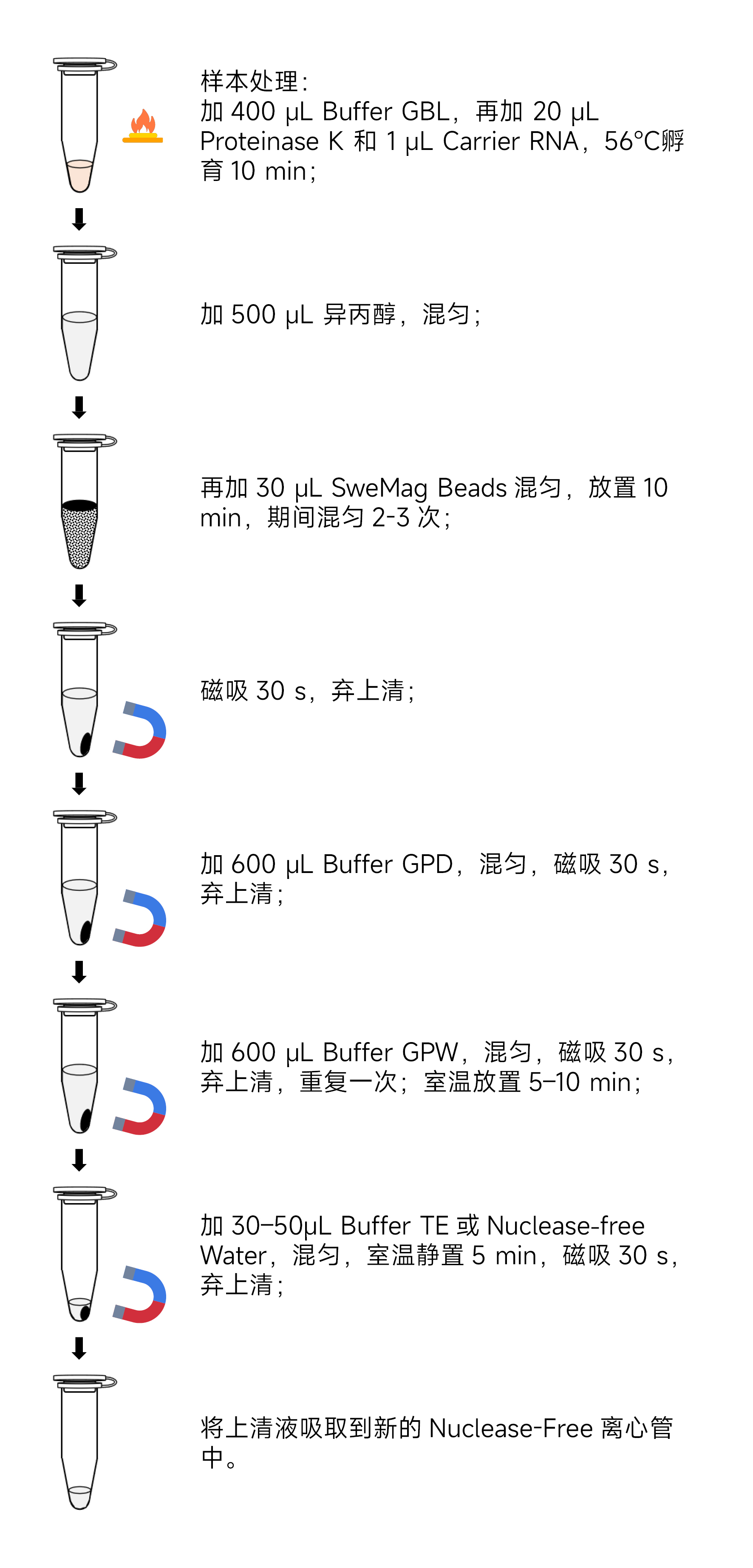 Y3623-50T 磁珠法血清 血浆游离DNA提取试剂盒流程图.jpg