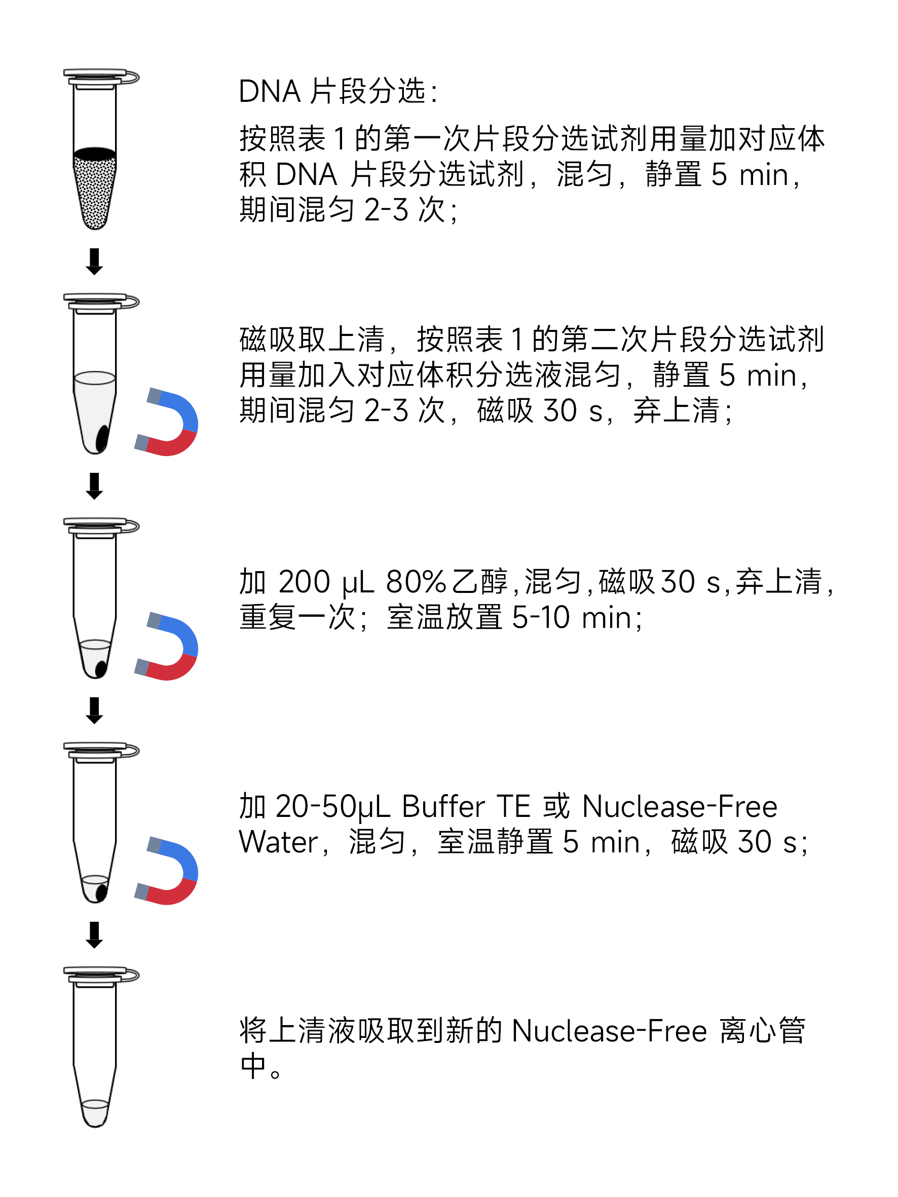 Y3624-50T磁珠法DNA片段分选试剂盒.jpg