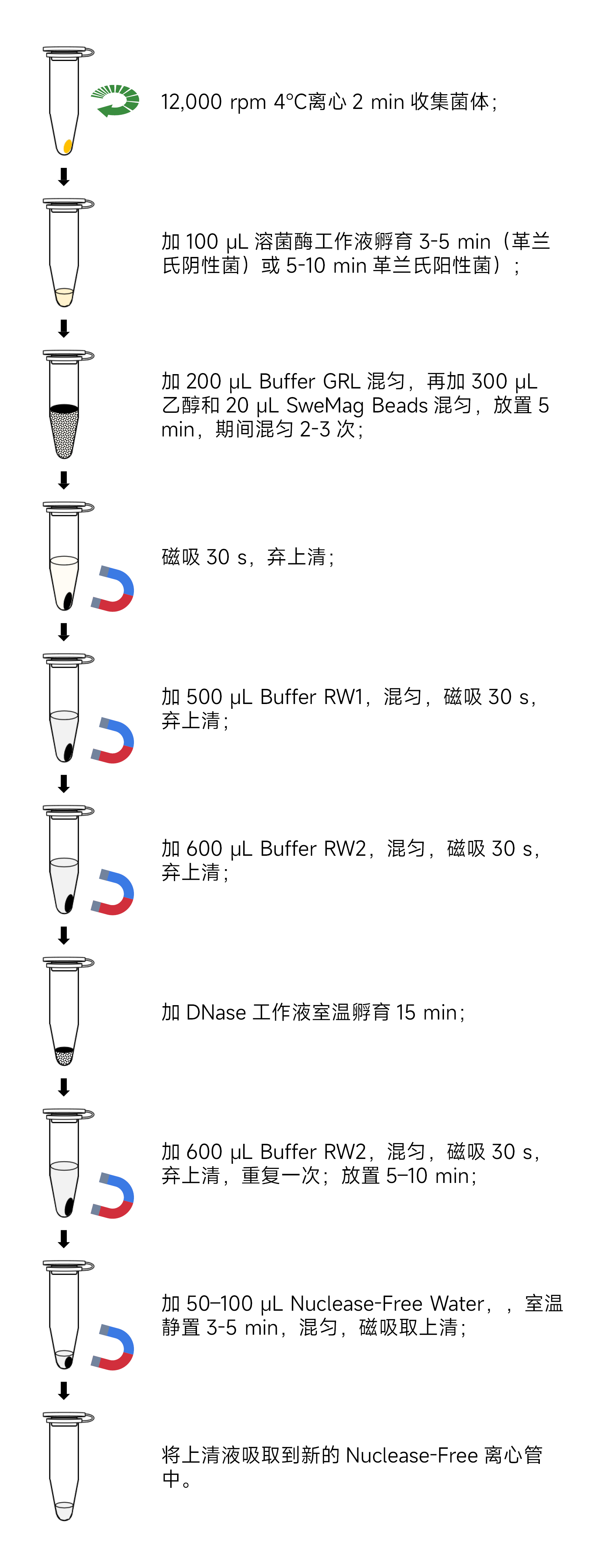 Y3628-50T磁珠法细菌总RNA提取试剂盒.jpg