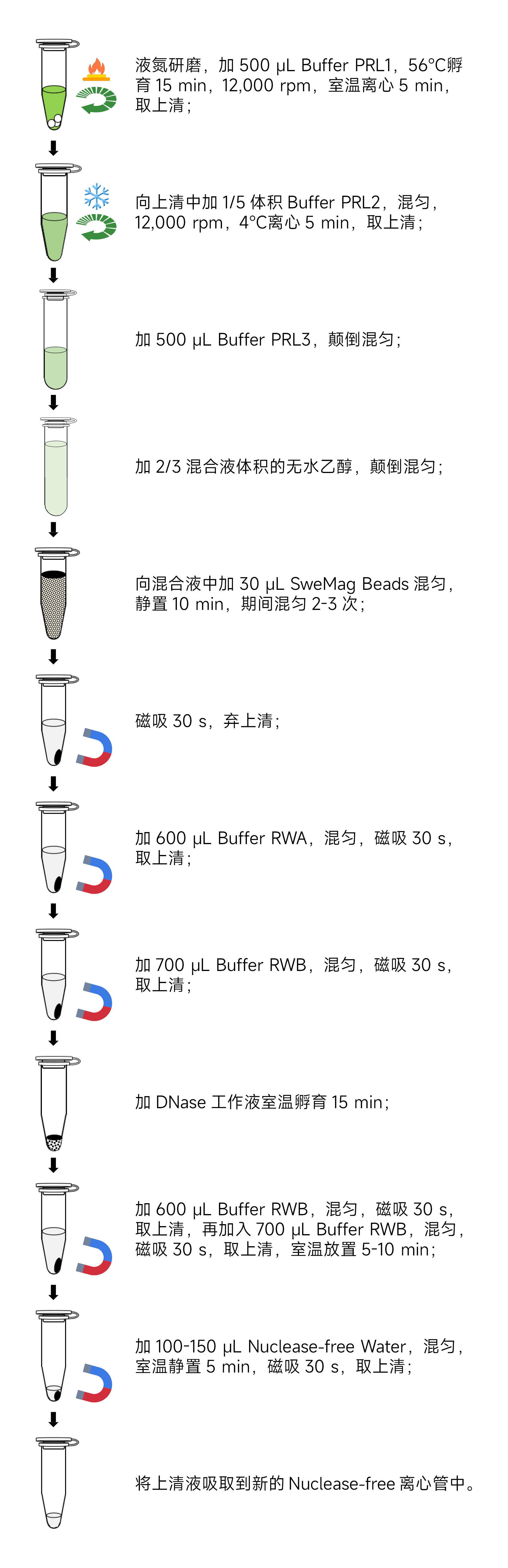 Y3630-50T 磁珠法植物RNA提取试剂盒.jpg