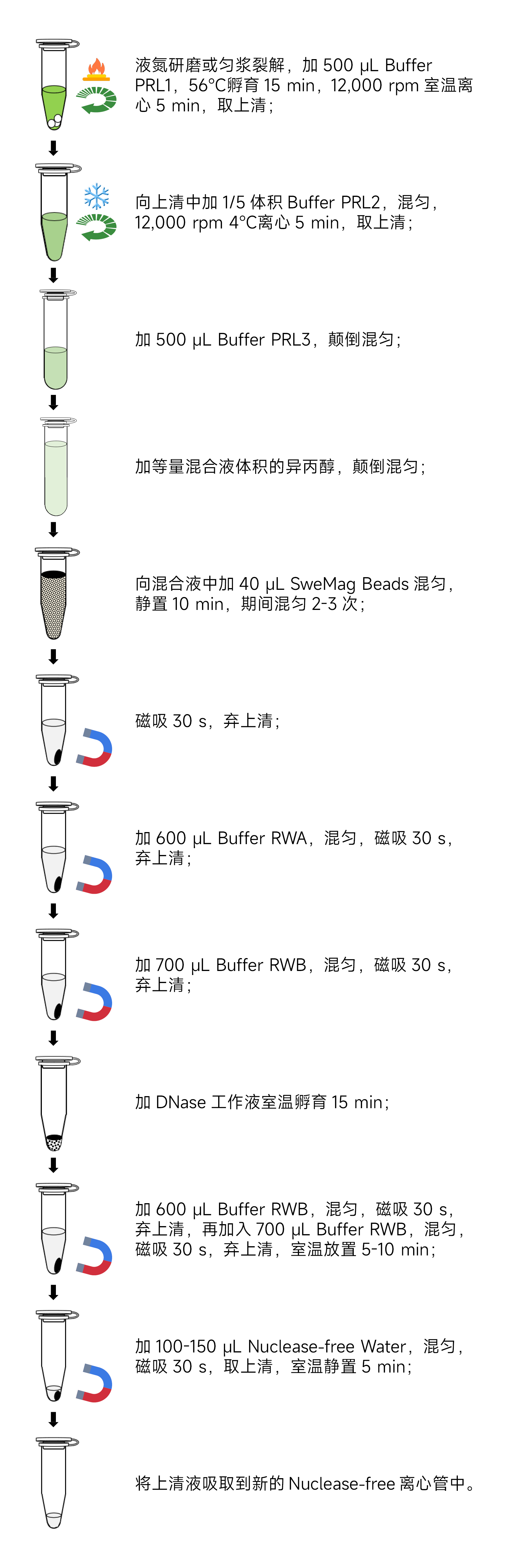 Y3631-50T 磁珠法多糖多酚植物RNA提取试剂盒.jpg