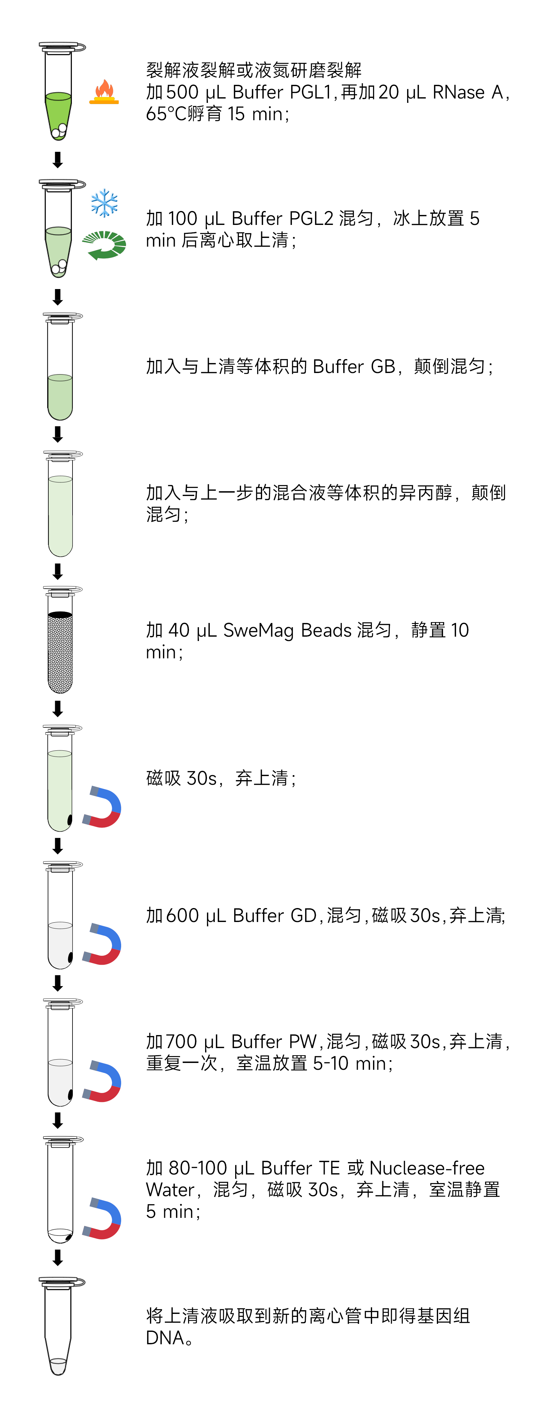 Y3632-50T 磁珠法植物基因组DNA提取试剂盒流程图.jpg