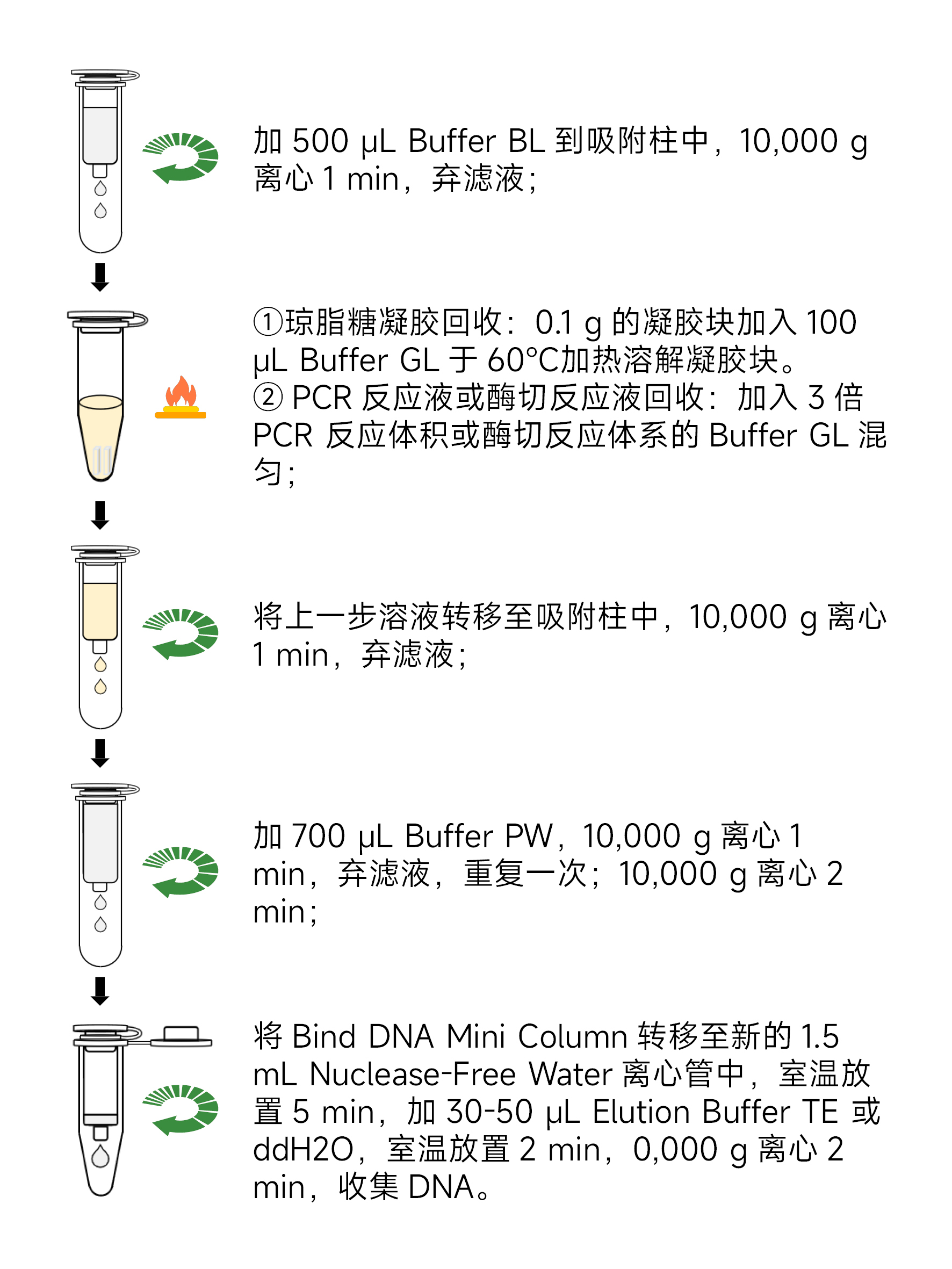 Y3642-100T通用型DNA纯化回收试剂盒.jpg