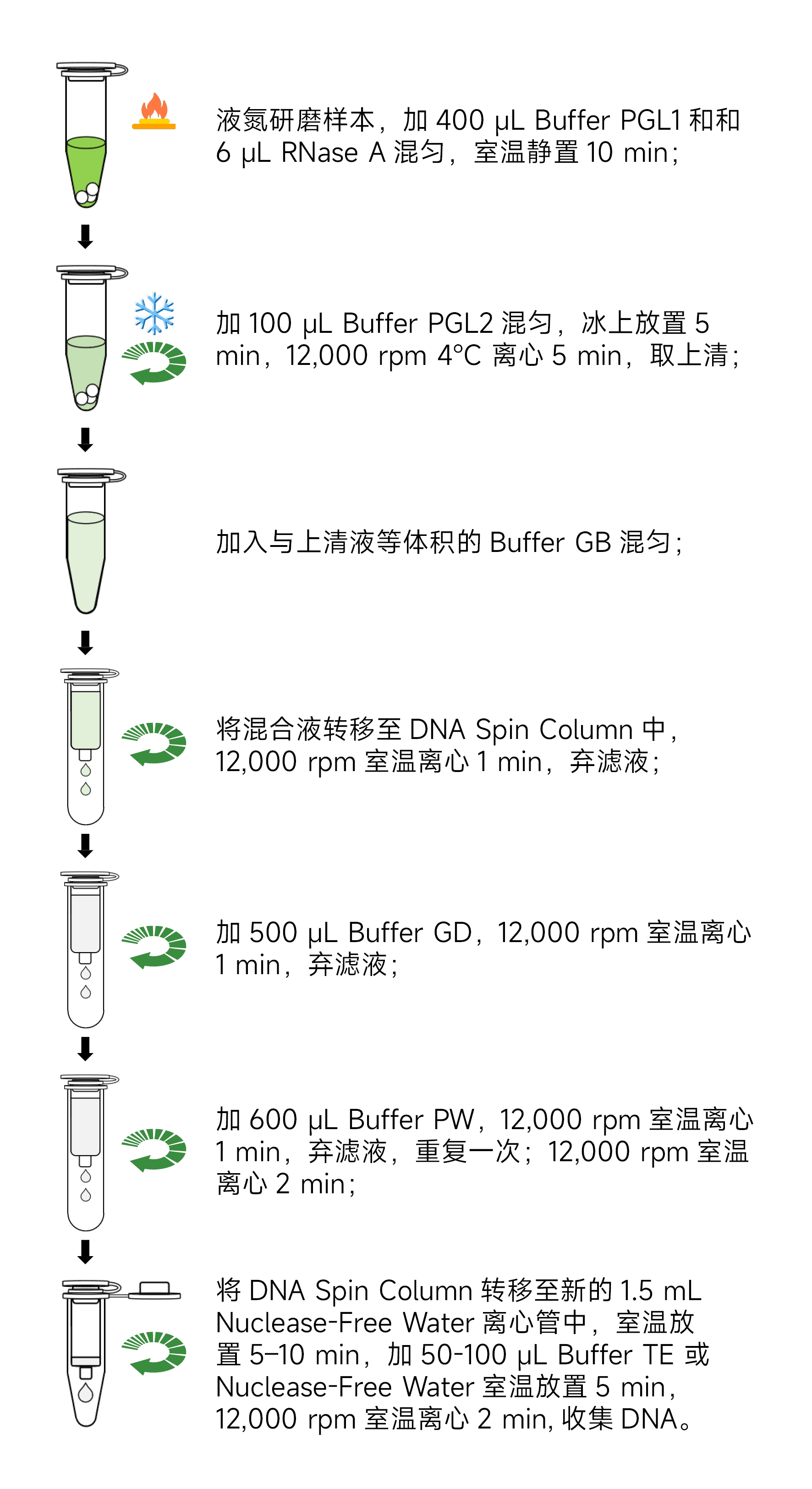 Y3645-50T植物基因组DNA提取试剂盒.jpg