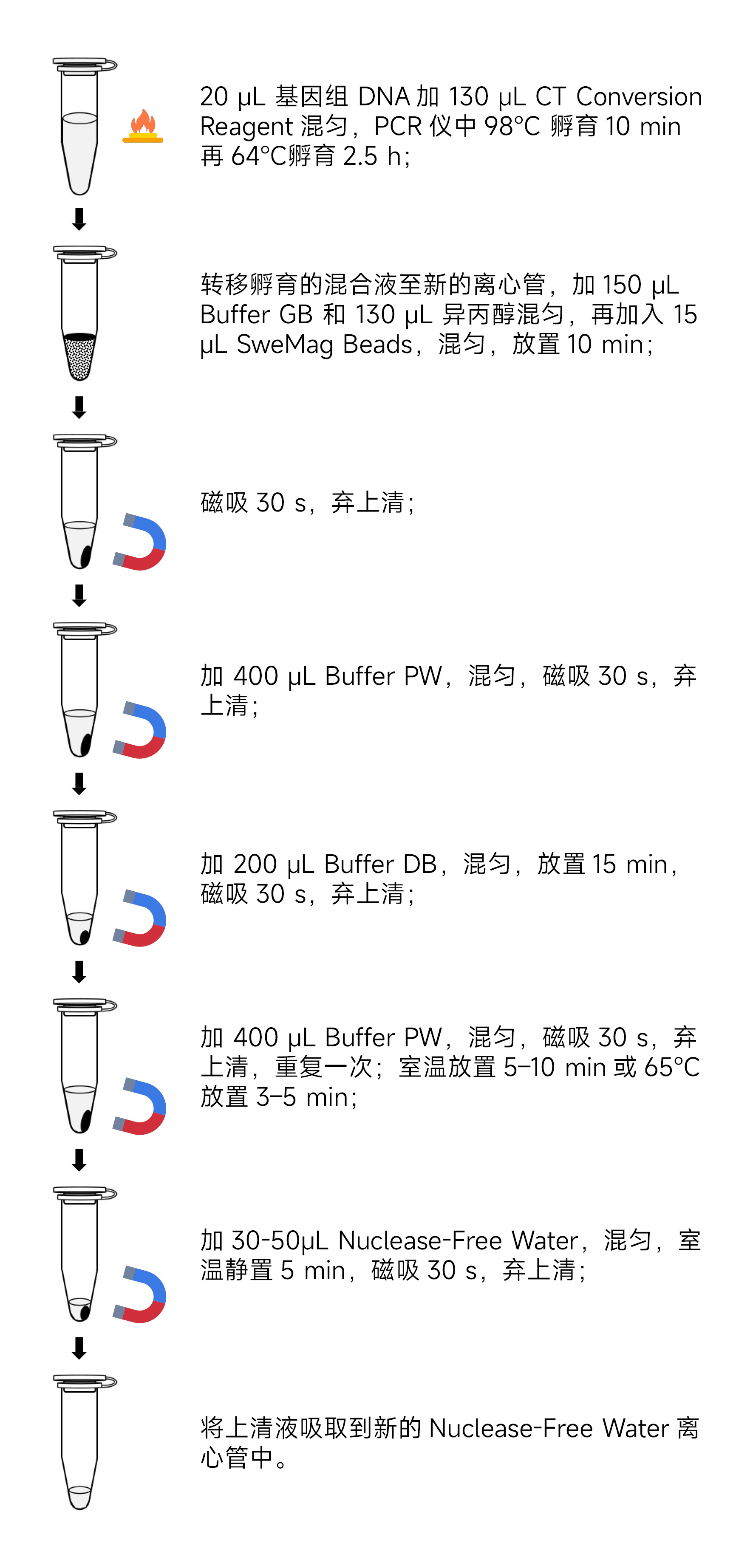 Y3650-50TDNA亚硫酸氢盐转化试剂盒.jpg