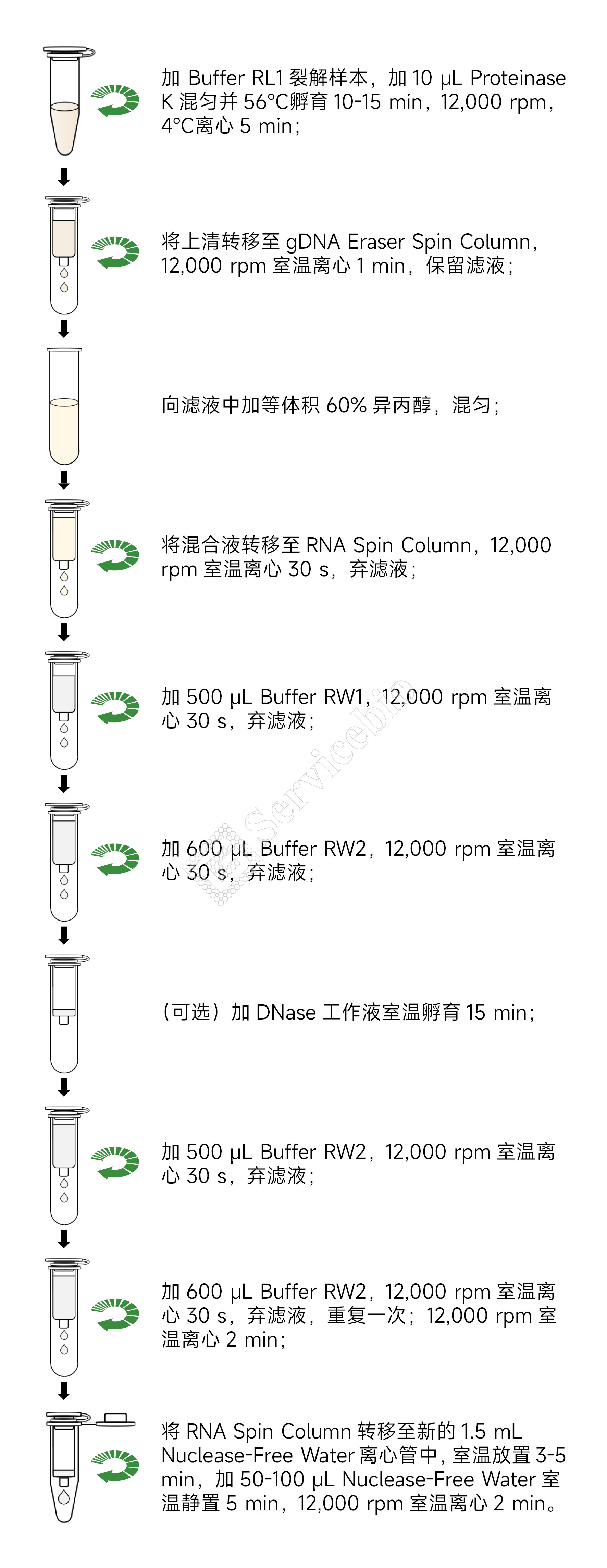 Y3651-50T 动物组织 细胞总RNA提取试剂盒.jpg