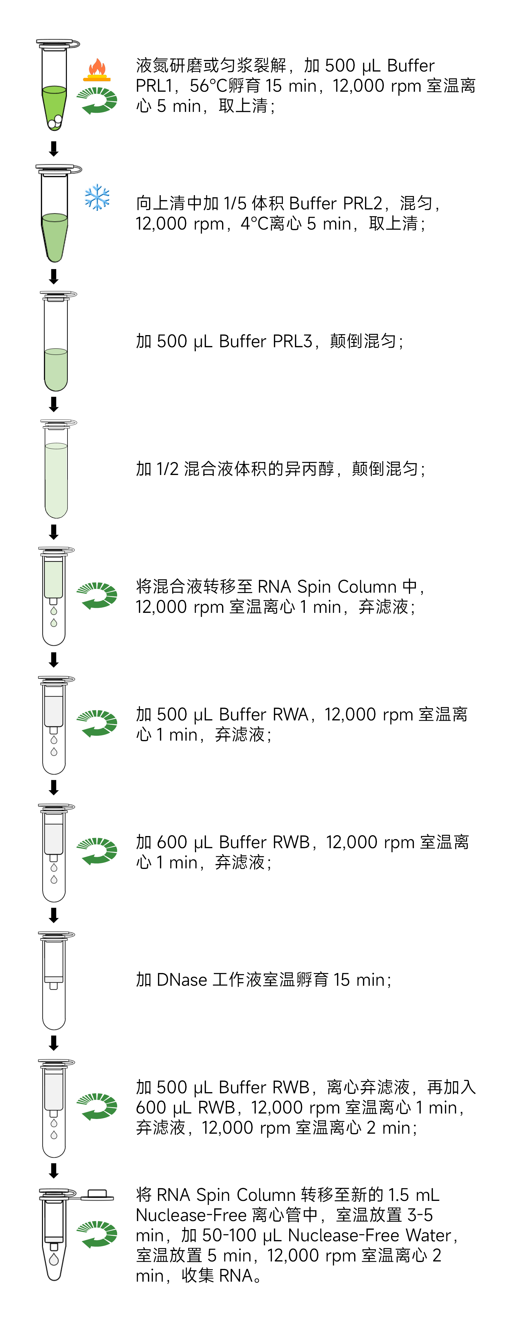 Y3652-50T多糖多酚植物总RNA提取试剂盒.jpg