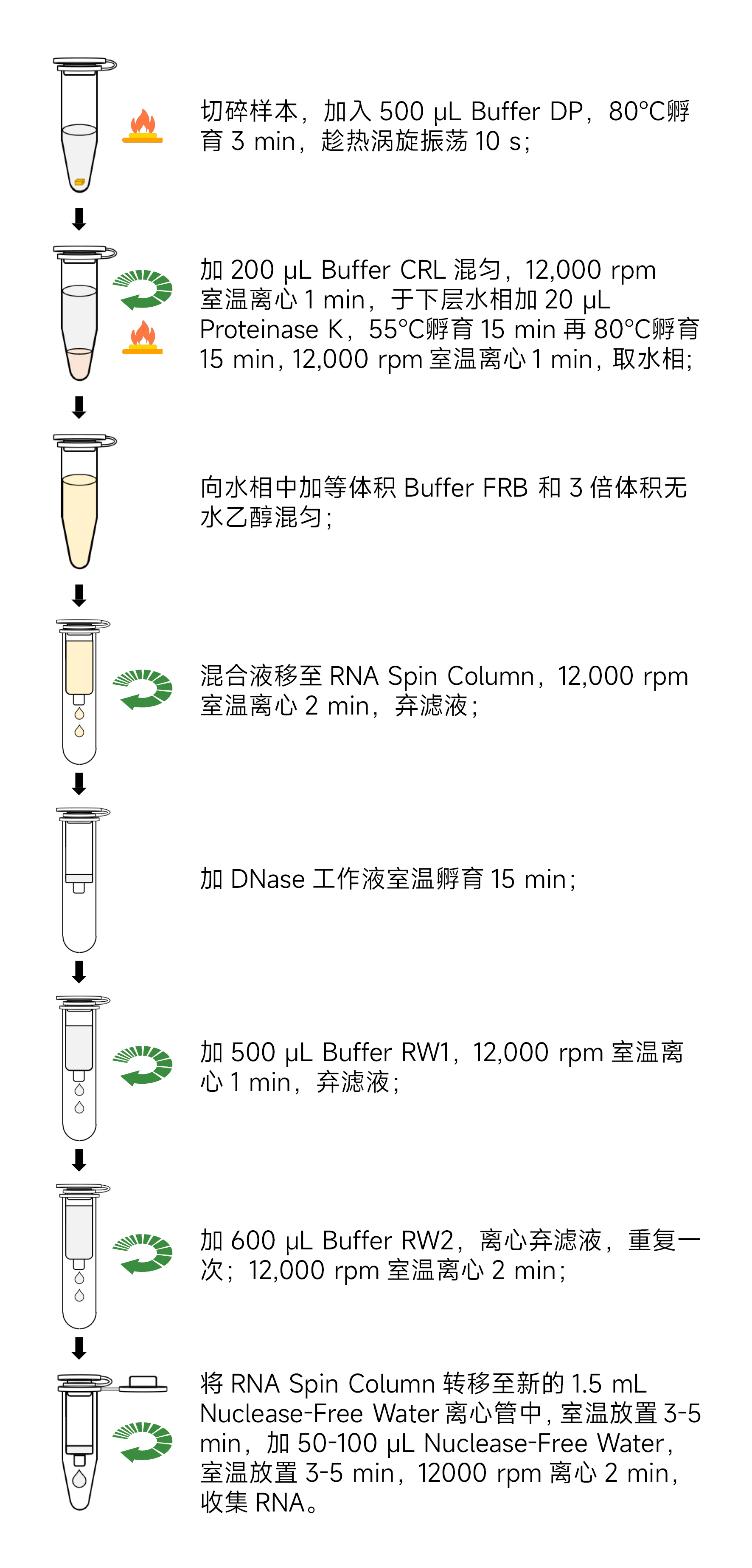 Y3653-50T石蜡包埋组织RNA提取试剂盒.jpg