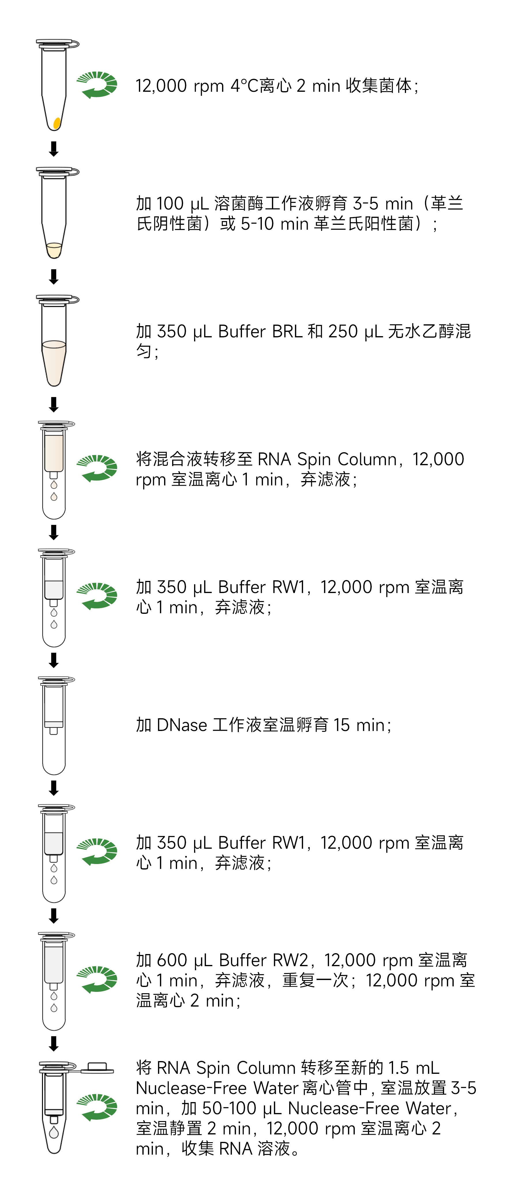 赛维尔生物服务|产品_Servicebio_武汉赛维尔生物科技有限公司
