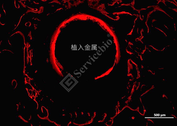 图片 3.jpg