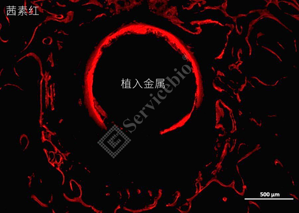 图片 2.jpg