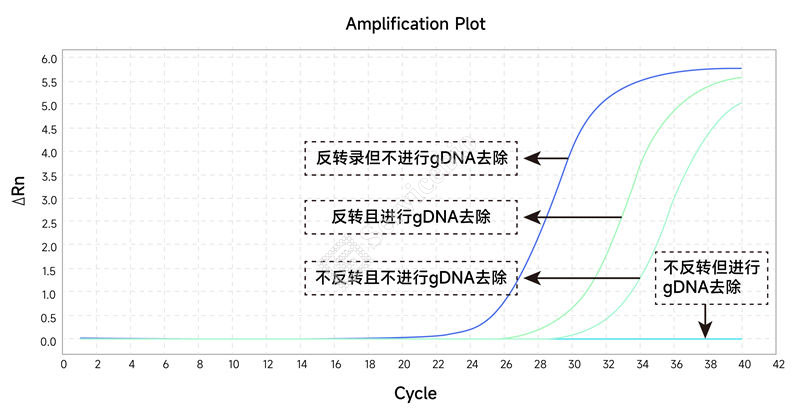 分子克隆效果图-09.jpg