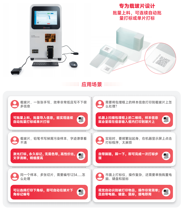 截图_20241015110739.png