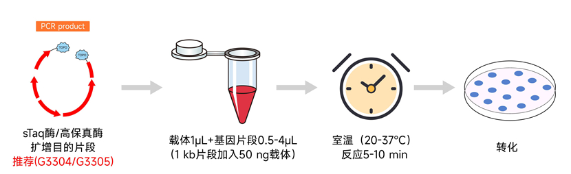 分子克隆效果图_画板 2.jpg