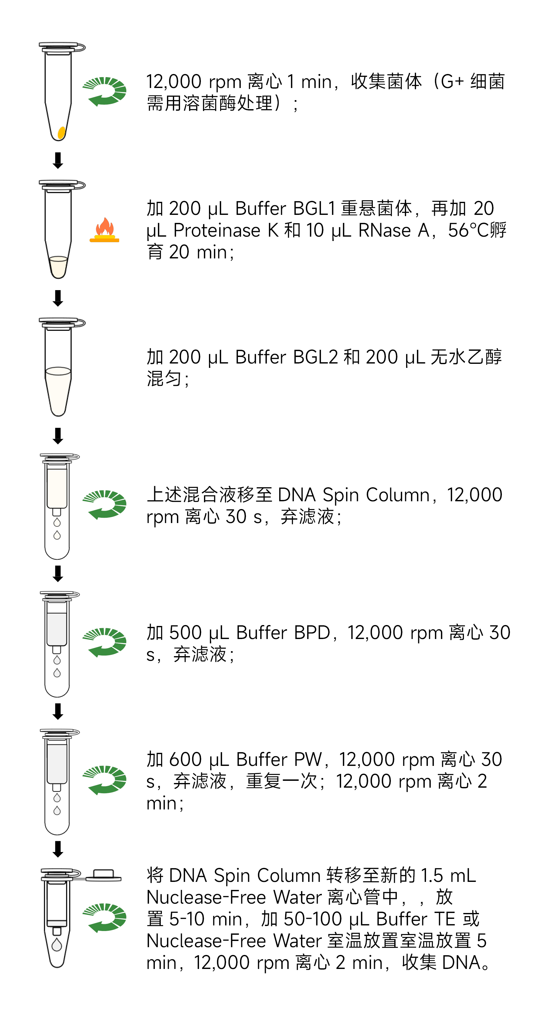 Y3643-50T细菌基因组DNA提取试剂盒.jpg