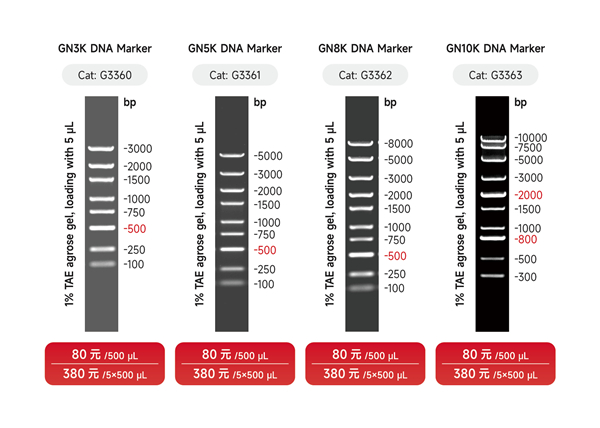 DNA marker宣传图 - 副本.jpg