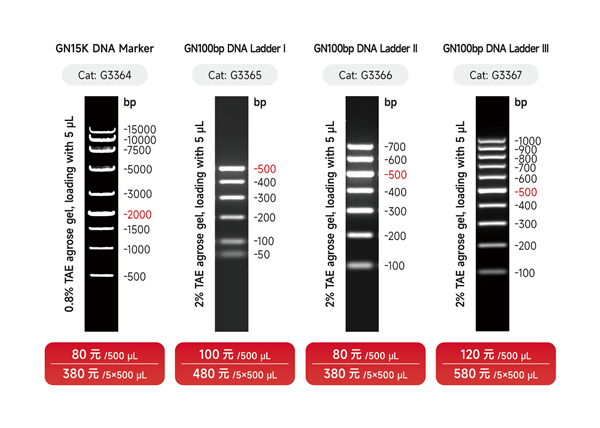 DNA marker宣传图2 - 副本.jpg