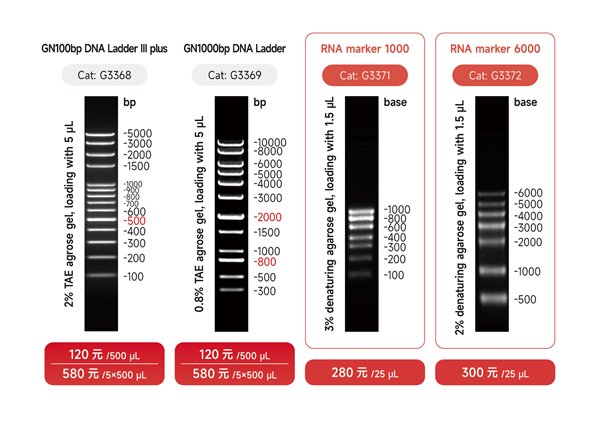 DNA marker宣传图3 - 副本.jpg