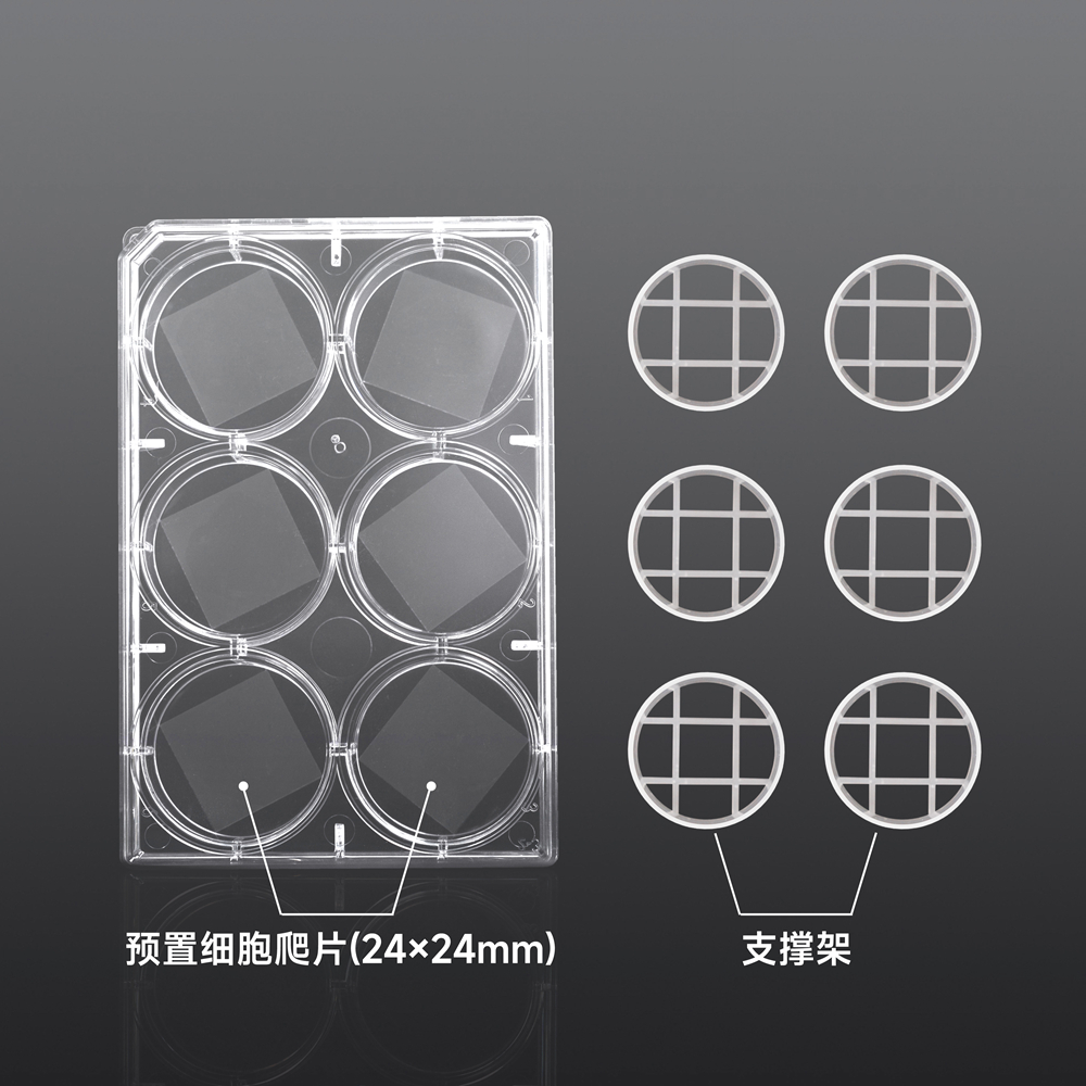 赛维尔生物服务|产品_Servicebio_武汉赛维尔生物科技有限公司