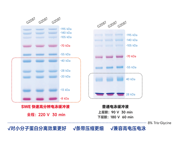 YWE快速电泳缓冲液对比普通电泳缓冲液 - 副本.jpg