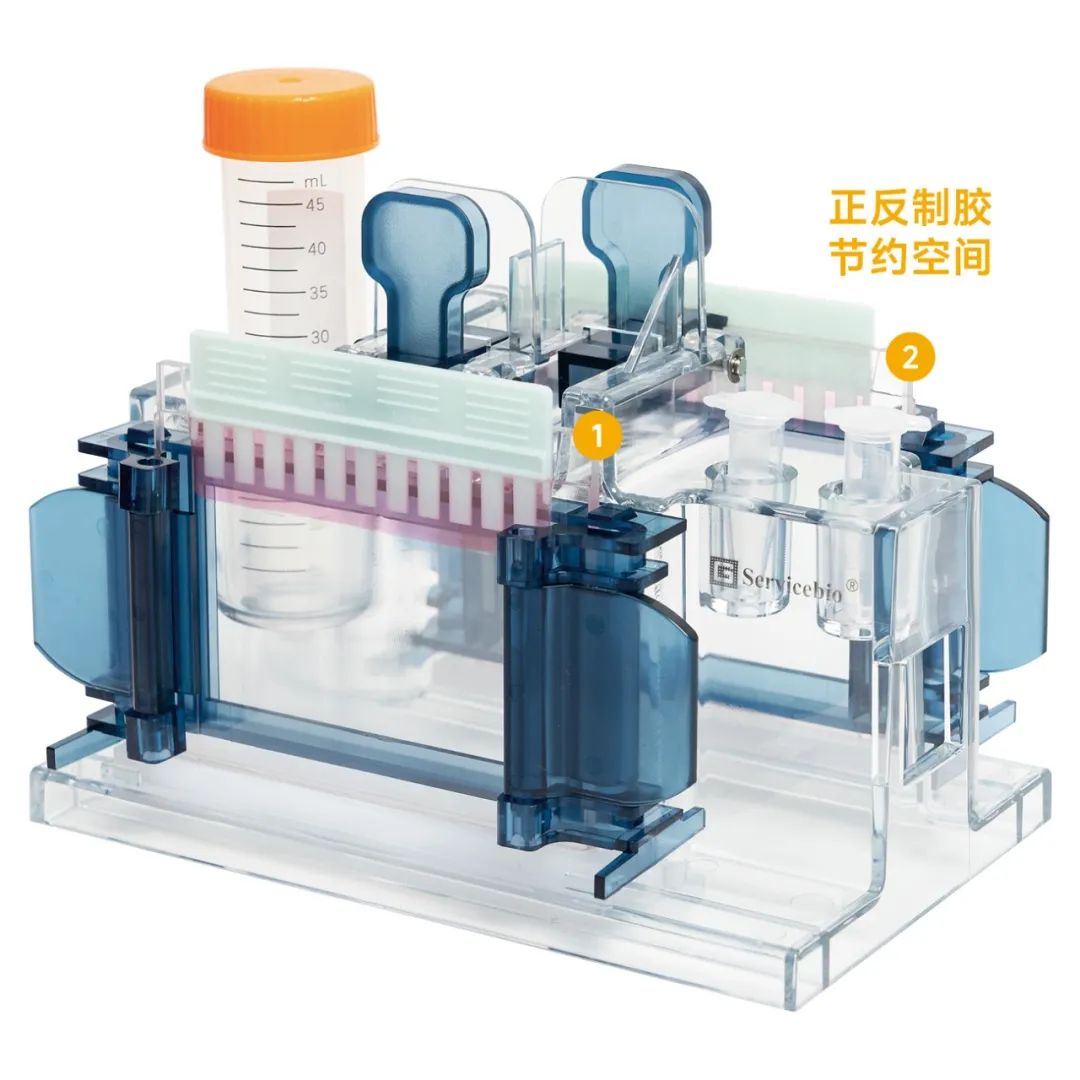 赛维尔生物服务|产品_Servicebio_武汉赛维尔生物科技有限公司
