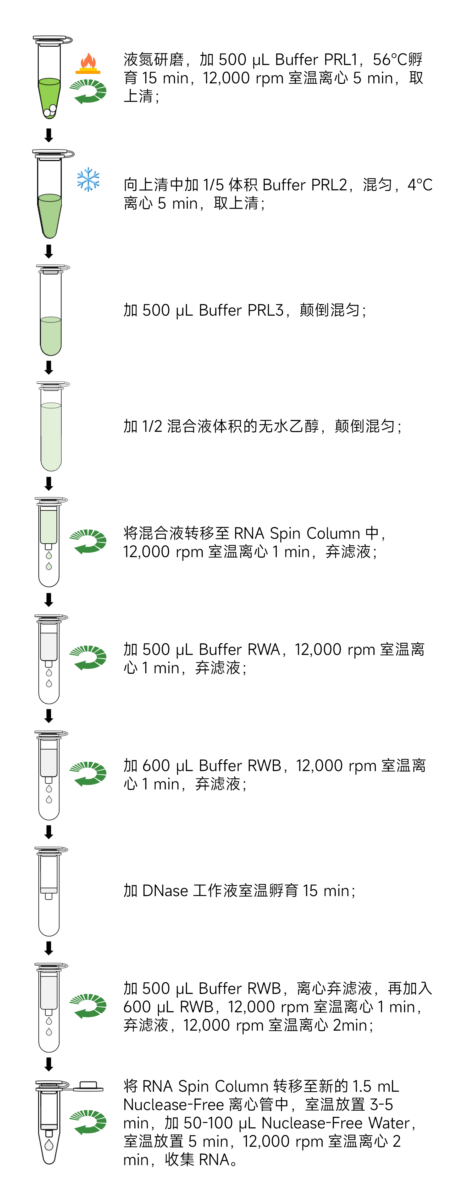 Y3692-50T 植物RNA提取试剂盒(1).jpg