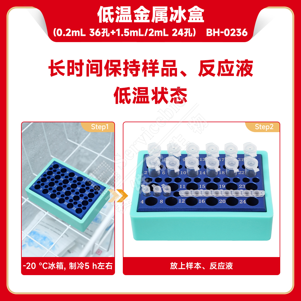 赛维尔生物服务|产品_Servicebio_武汉赛维尔生物科技有限公司