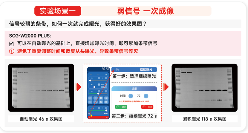 化学发光<a href=