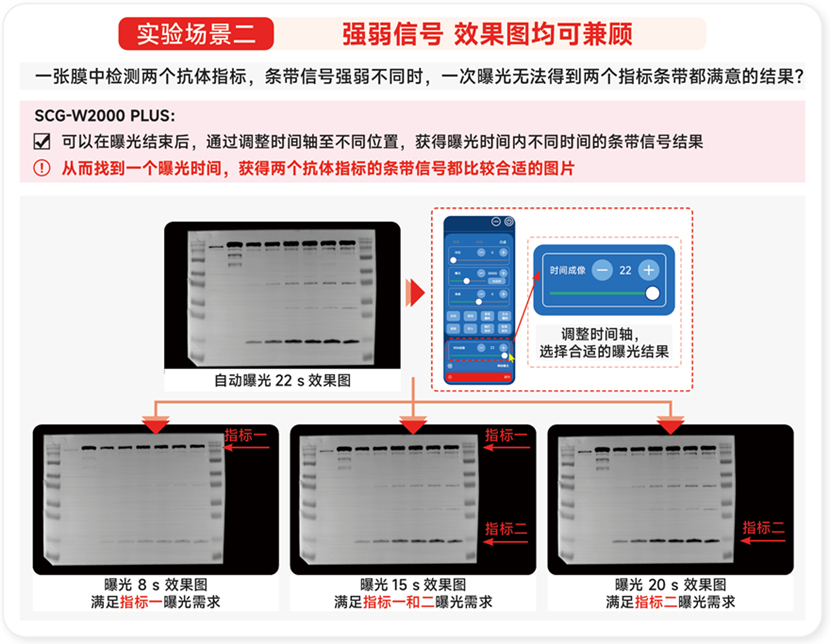 化学发光<a href=