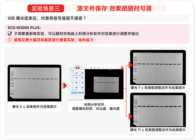 化学发光<a href=