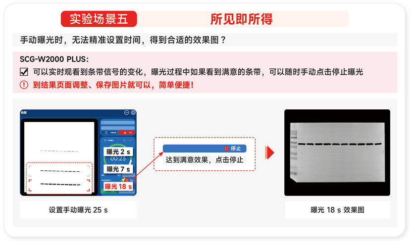 化学发光<a href=