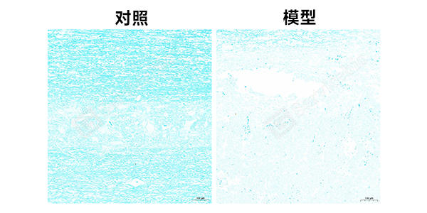 LFB组图.jpg