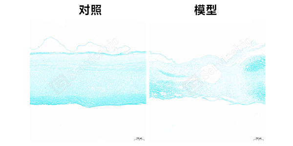 FLB组图.jpg