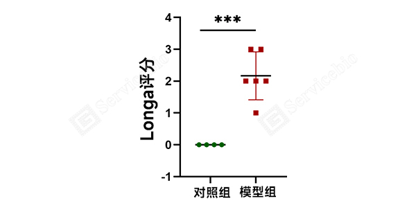 1、Longa Score.jpg