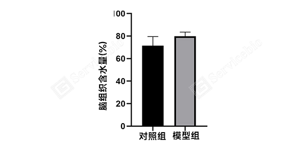 3、Brain Water Content.jpg
