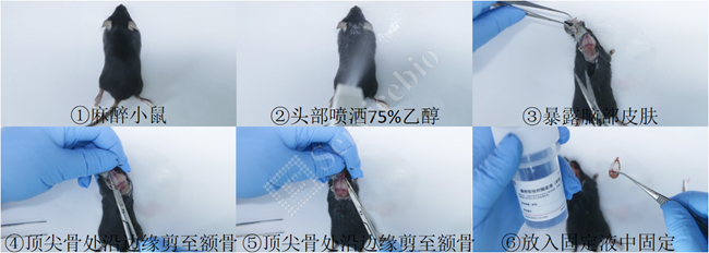 图片 23.jpg