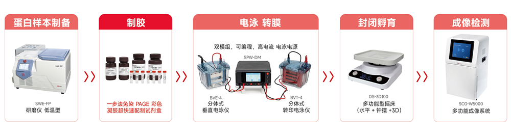 一步法免染流程2-a(1) - 副本.jpg