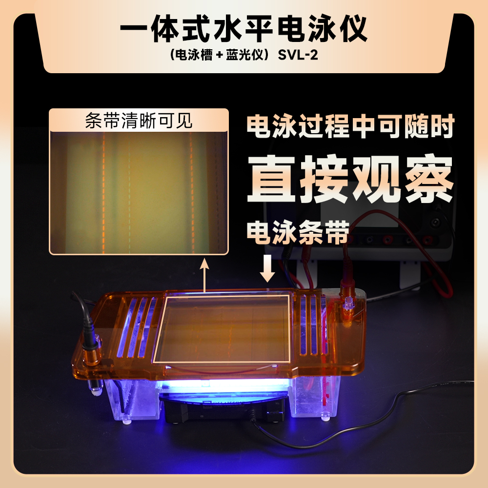 一体式水平电泳仪-SVL-2-2.jpg