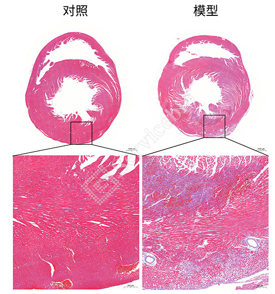 1735892384629BVETta.jpg