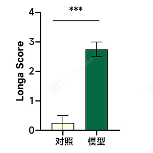 1、longa评分-.jpg