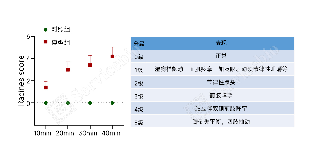 1、Racines评分.jpg 1、Racines评分.jpg