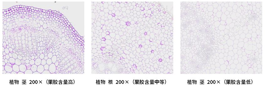 1企业微信截图_17502157076521.jpg