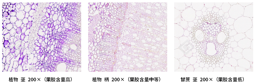 2企业微信截图_17502157341682.jpg