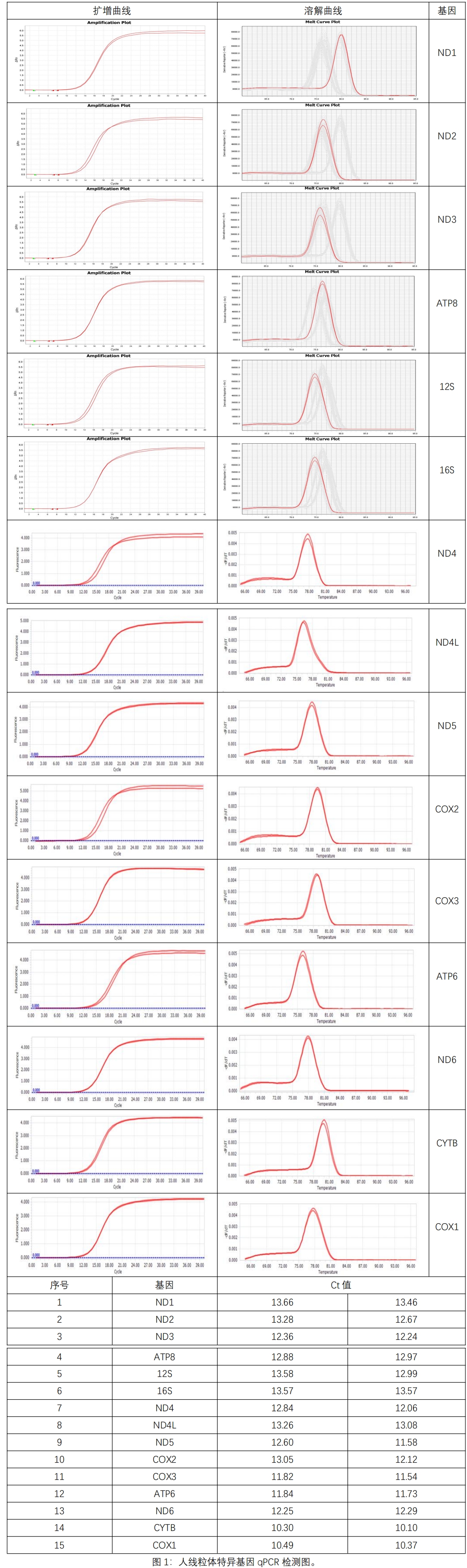 附件1 Y3762-50T 动物组织细胞线粒体DNA提取试剂盒---Ver 1.0 -官网呈现-吝婷婷-20250611_00.jpg