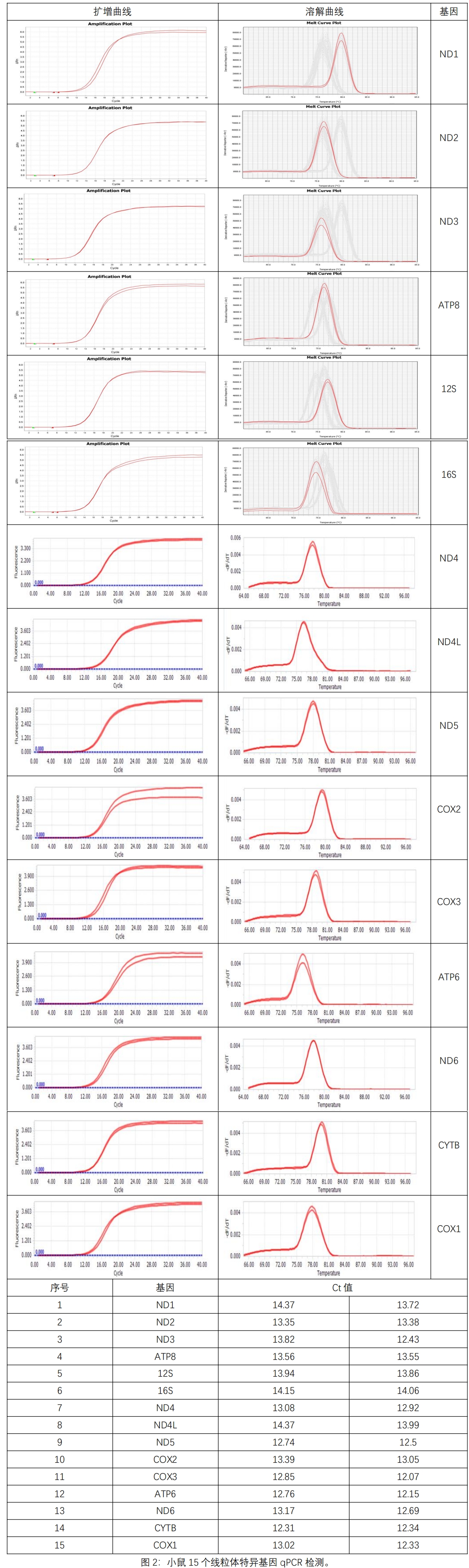 附件1 Y3762-50T 动物组织细胞线粒体DNA提取试剂盒---Ver 1.0 -官网呈现-吝婷婷-20250611_00(1).jpg